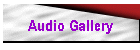 Audio Gallery